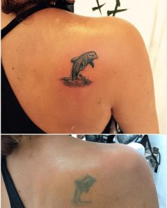 tatuaje_delfin_espalda_lloydstattoo